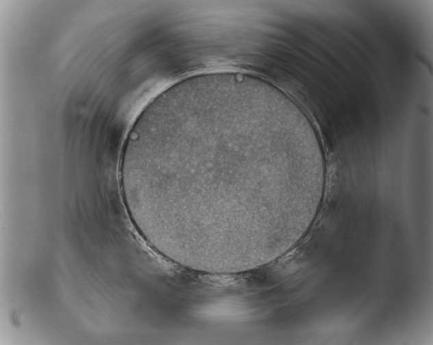 X0000103951197200810311541