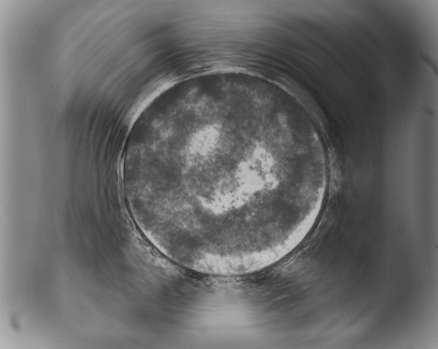 X0000103951198200810311541