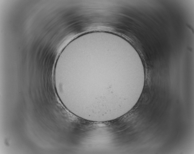 X0000103951199200810311541