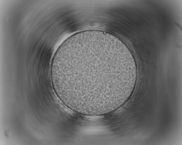 X0000103951200200810311541