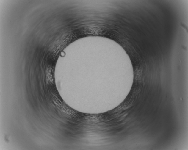 X0000103951202200810311541