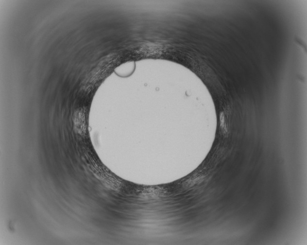 X0000103951203200810311541