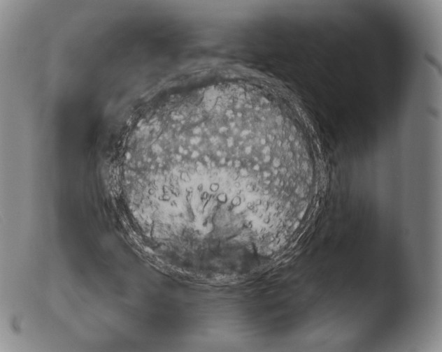 X0000103951205200810311541