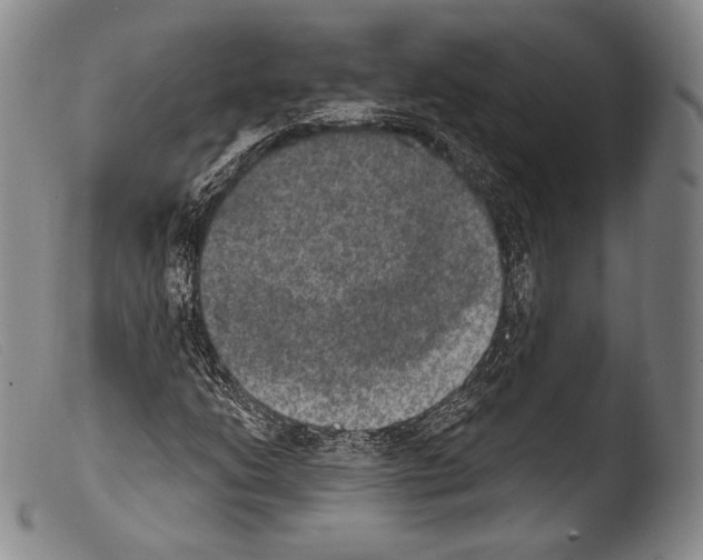 X0000103951206200810311541