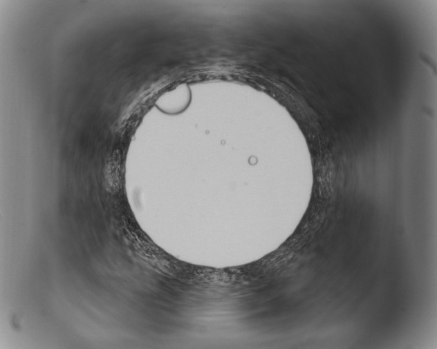 X0000103951207200810311541
