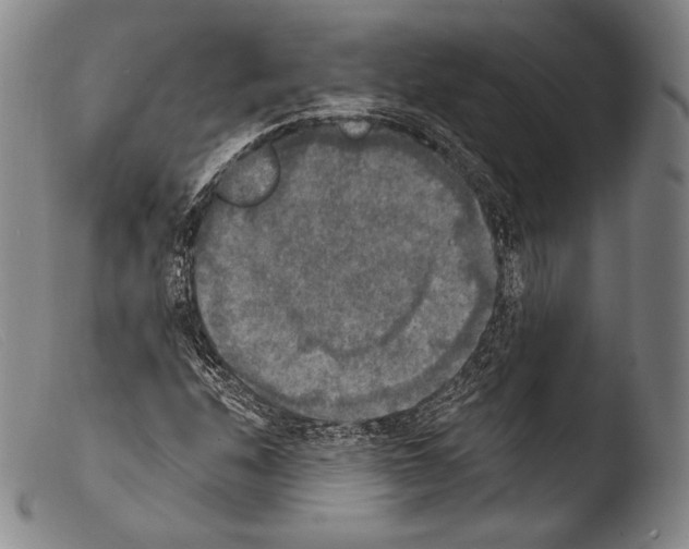 X0000103951208200810311541