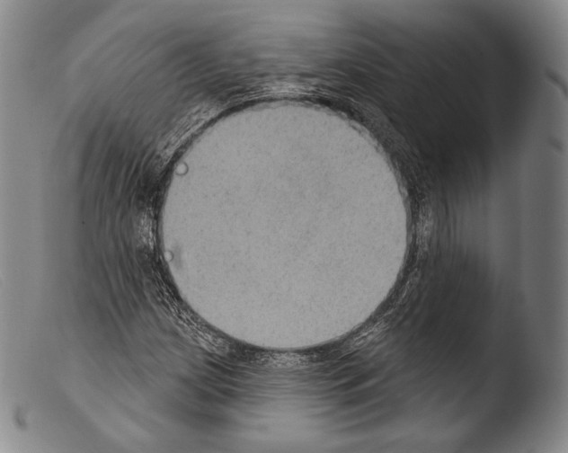 X0000103951209200810311541