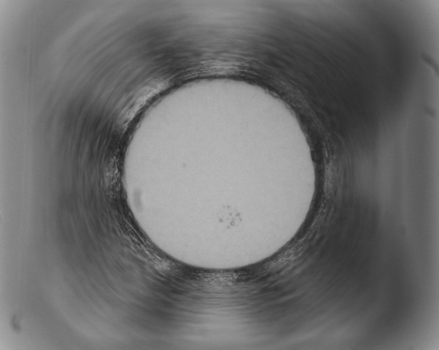X0000103951210200810311541