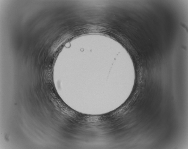X0000103951211200810311541