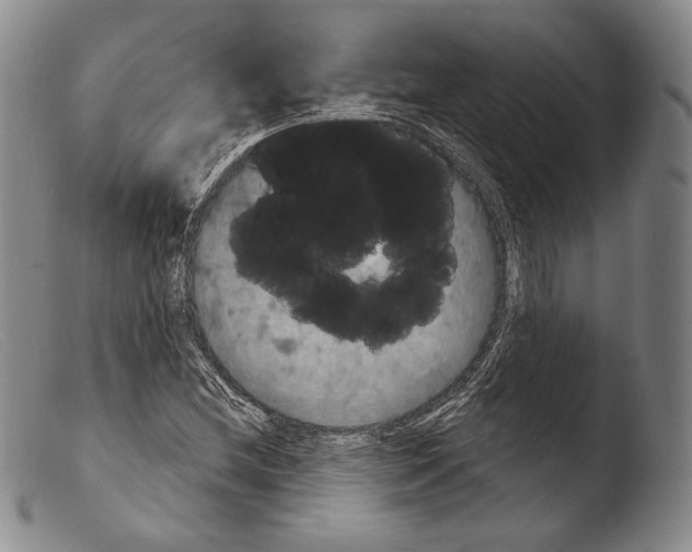 X0000103951212200810311541