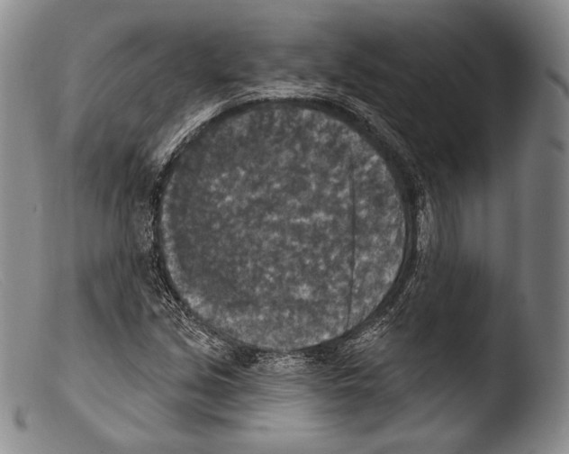 X0000103951213200810311541