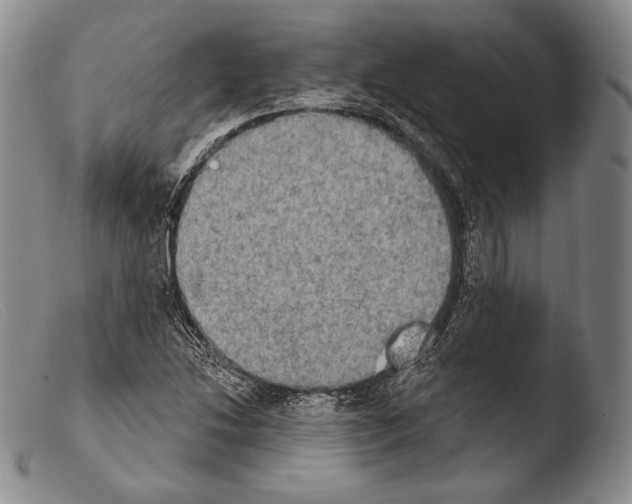 X0000103951214200810311541