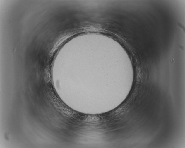 X0000103951215200810311541