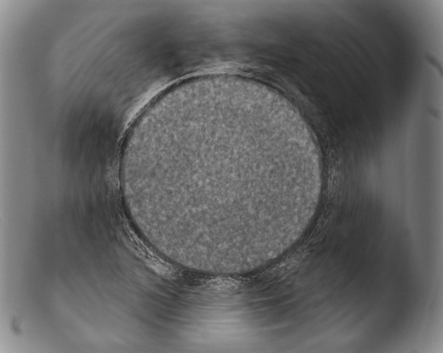 X0000103951216200810311541