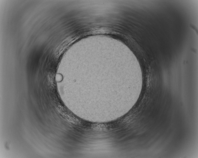 X0000103951217200810311541