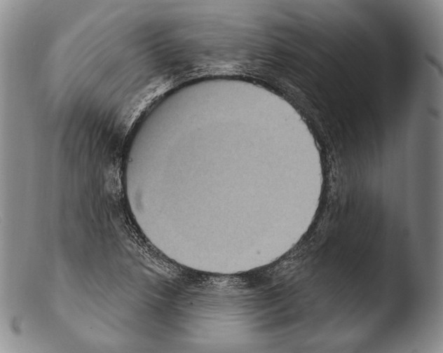 X0000103951218200810311541