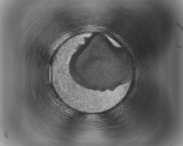 X0000103951219200810311541