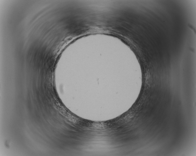 X0000103951220200810311541
