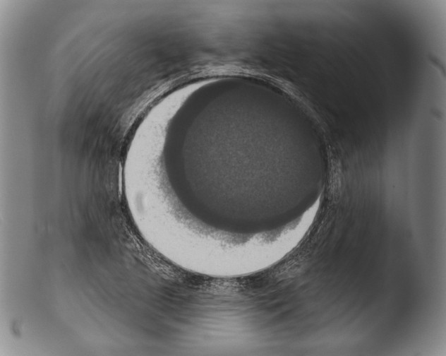 X0000103951221200810311541