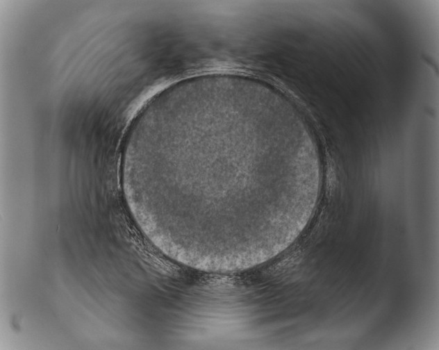 X0000103951222200810311541