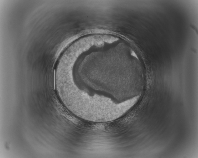 X0000103951223200810311541