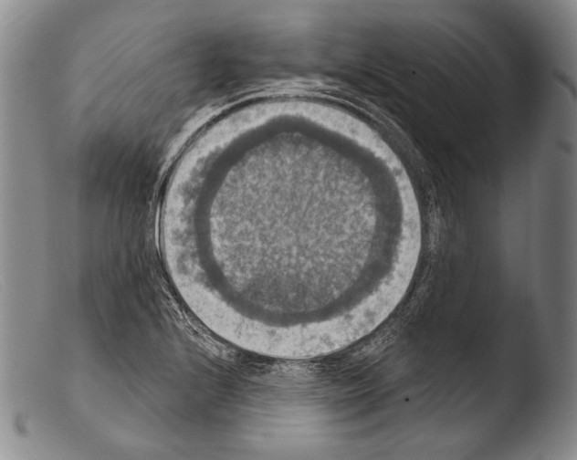 X0000103951224200810311541