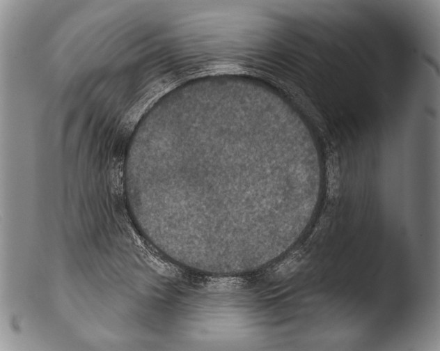 X0000103951225200810311541