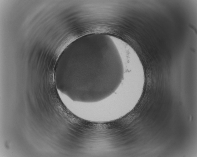 X0000103951226200810311541