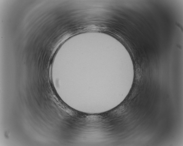 X0000103951227200810311541