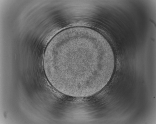 X0000103951228200810311541
