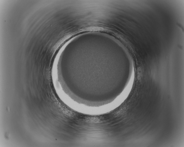 X0000103951229200810311541