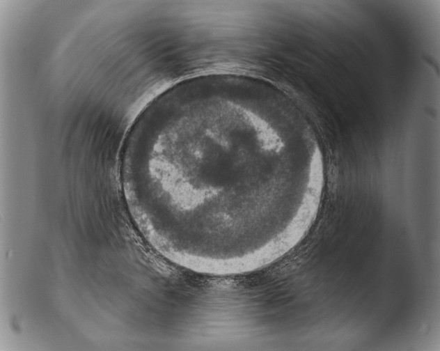X0000103951230200810311541