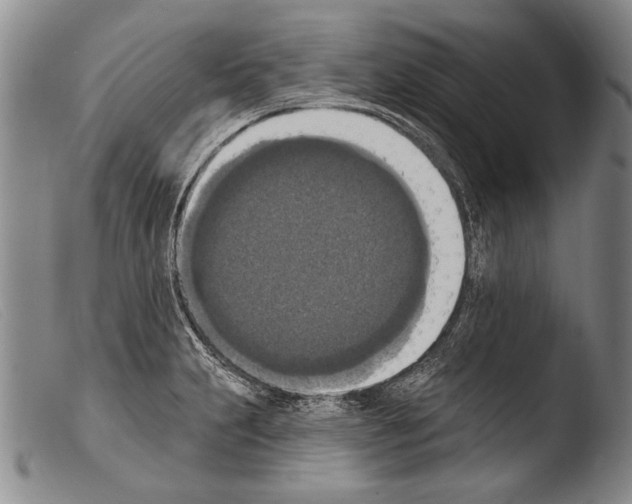 X0000103951231200810311541