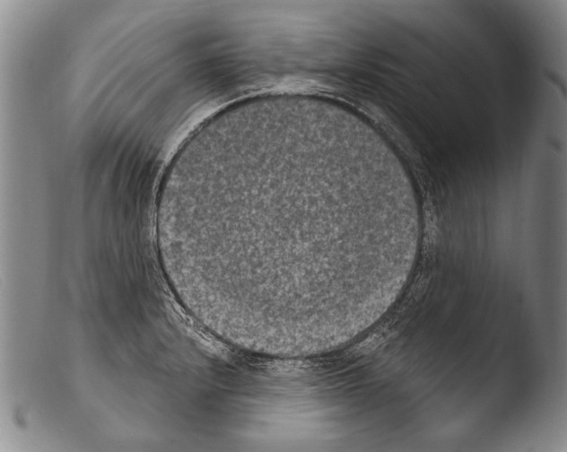 X0000103951232200810311541