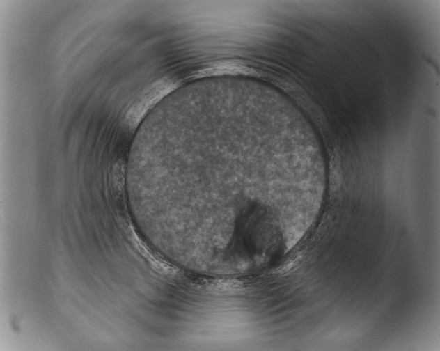 X0000103951233200810311541