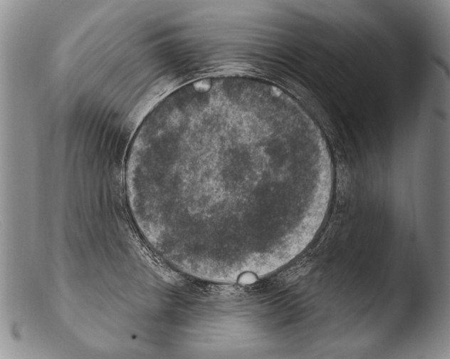 X0000103951234200810311541