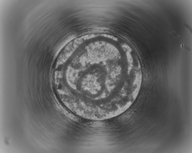 X0000103951235200810311541