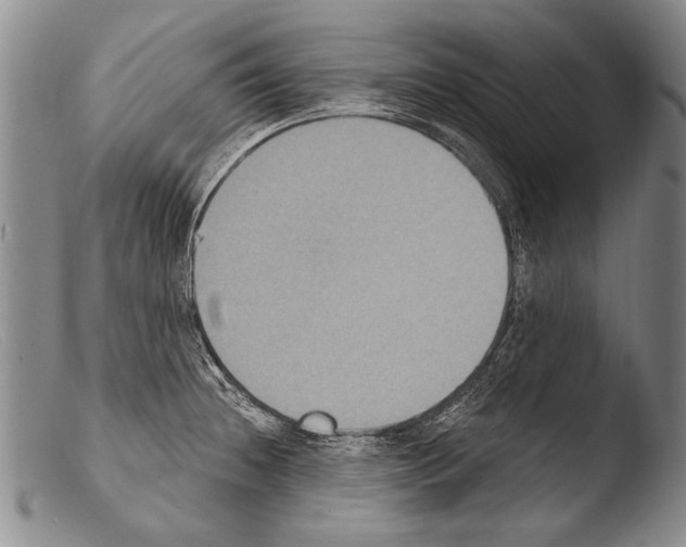 X0000103951236200810311541