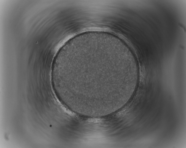 X0000103951237200810311541