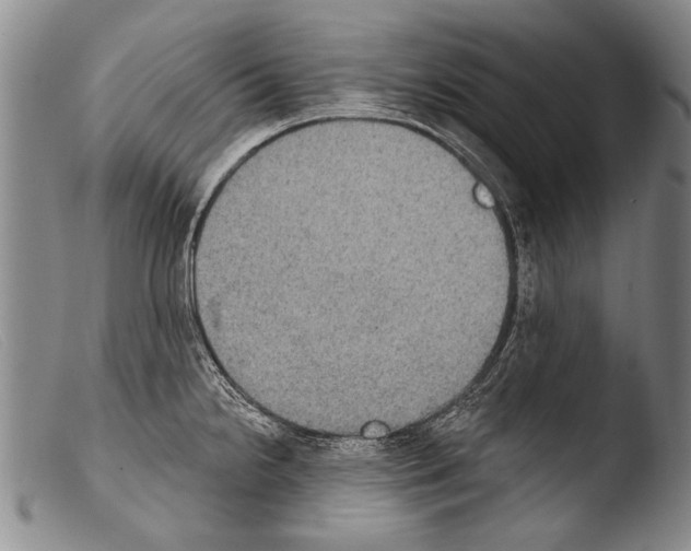 X0000103951238200810311541