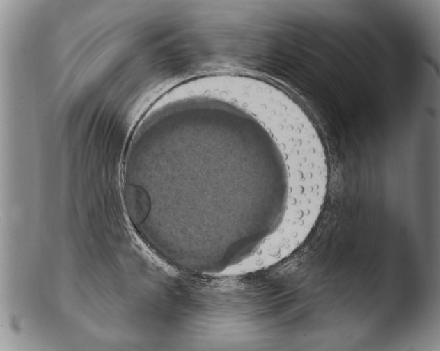 X0000103951239200810311541