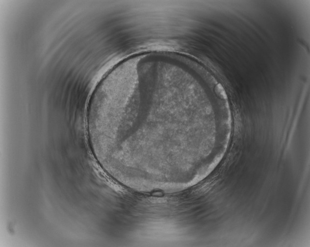 X0000103951240200810311541