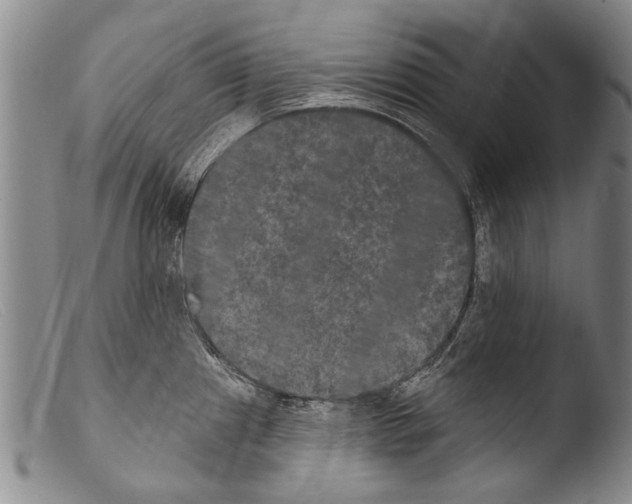 X0000103951241200810311541