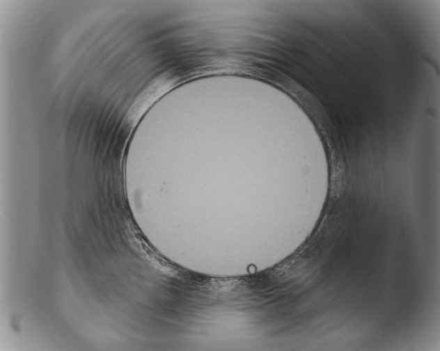 X0000103951242200810311541