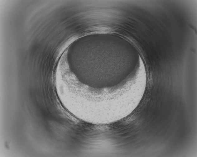 X0000103951243200810311541