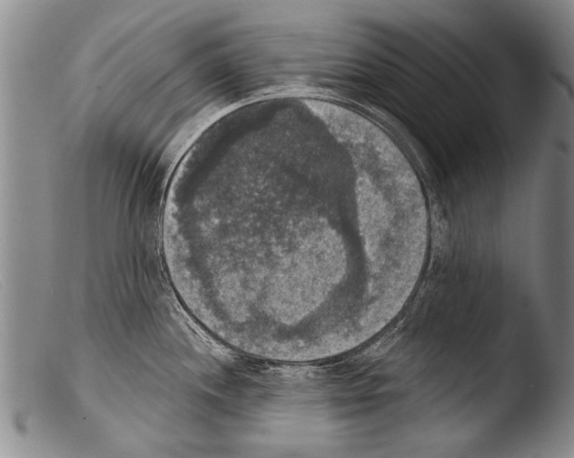 X0000103951244200810311541