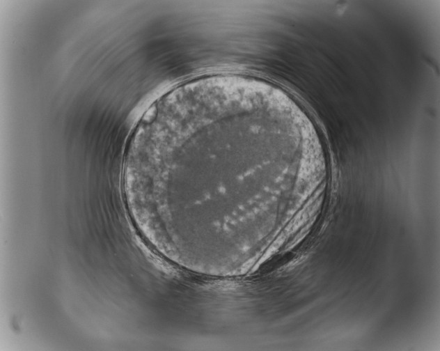 X0000103951245200810311541