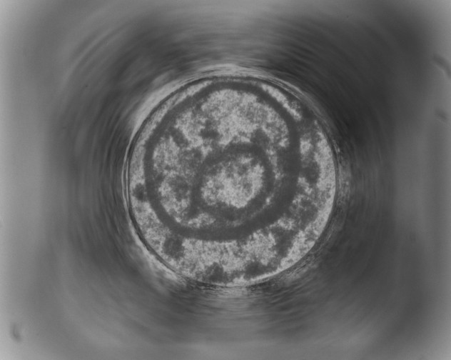 X0000103951247200810311541