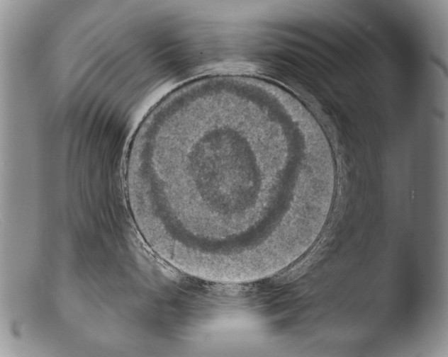 X0000103951248200810311541