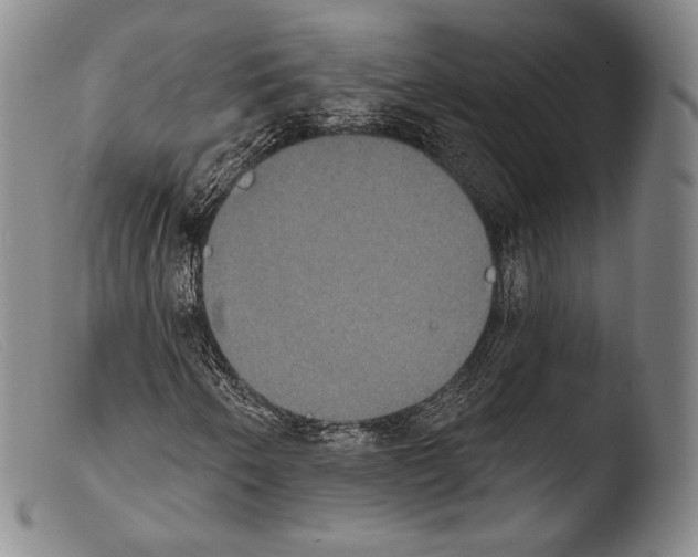 X0000103951250200810311541